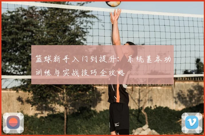 篮球新手入门到提升：系统基本功训练与实战技巧全攻略